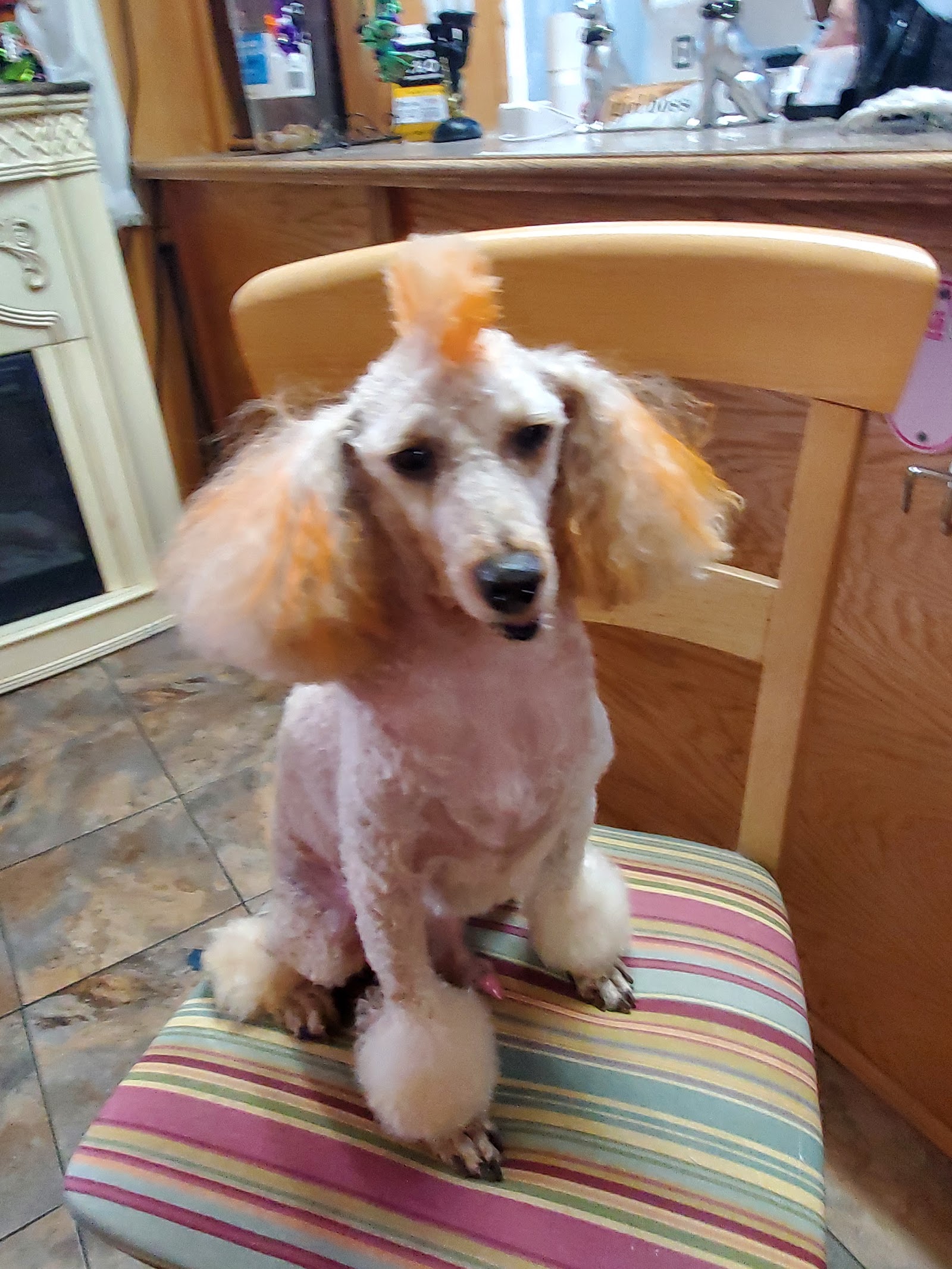 Nail trim