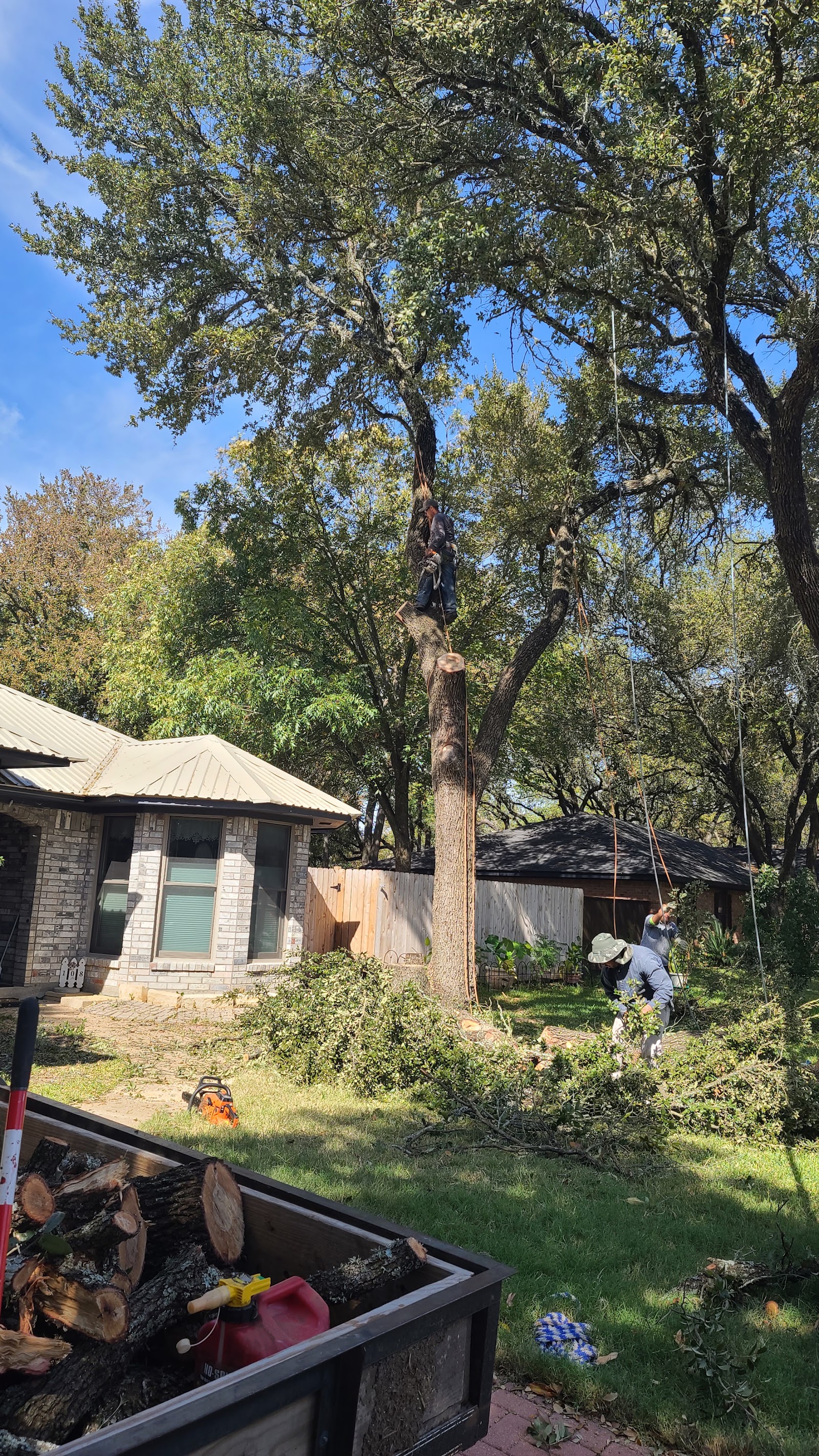 About Double D's Lawn Care