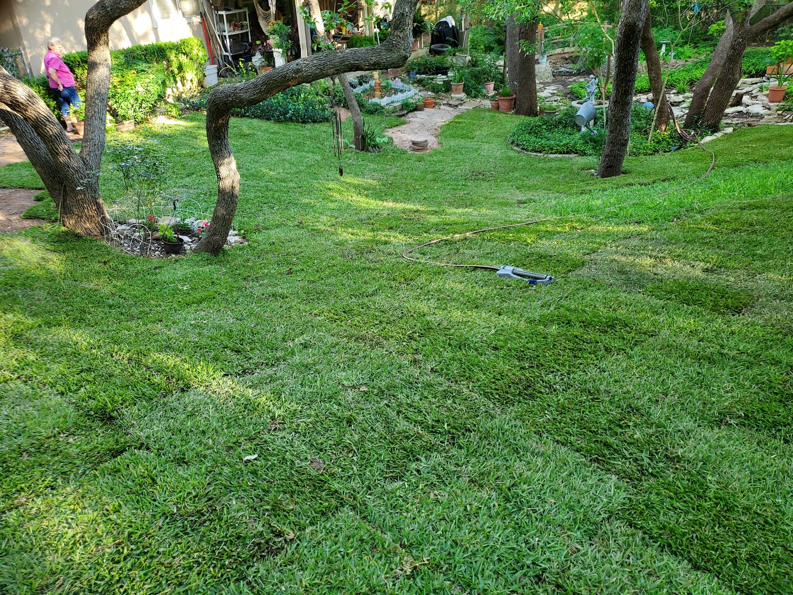 Recent work by Humble Landscapes, photo 2