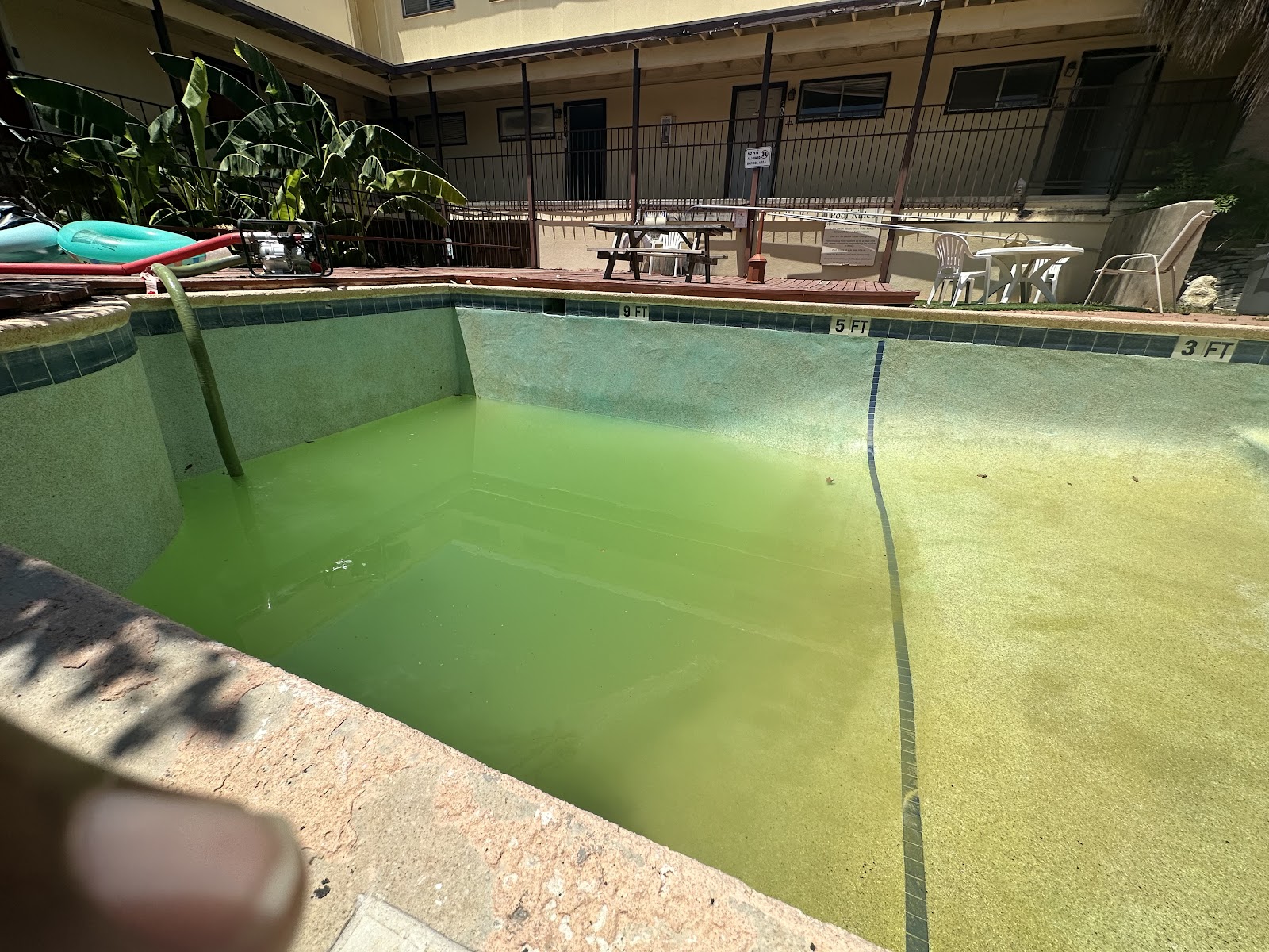 IPP - Invictus Pool Plastering