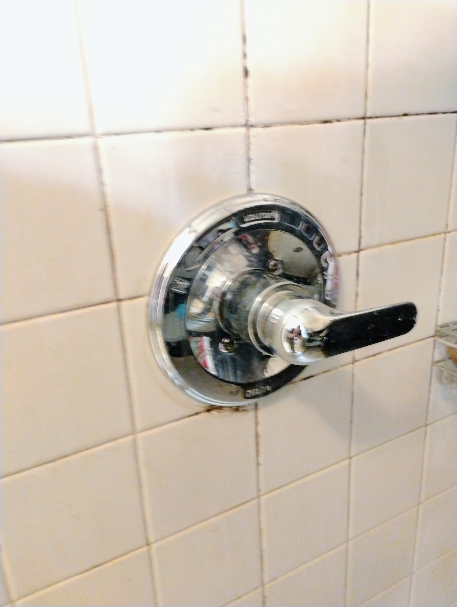 Water Heater Replacement