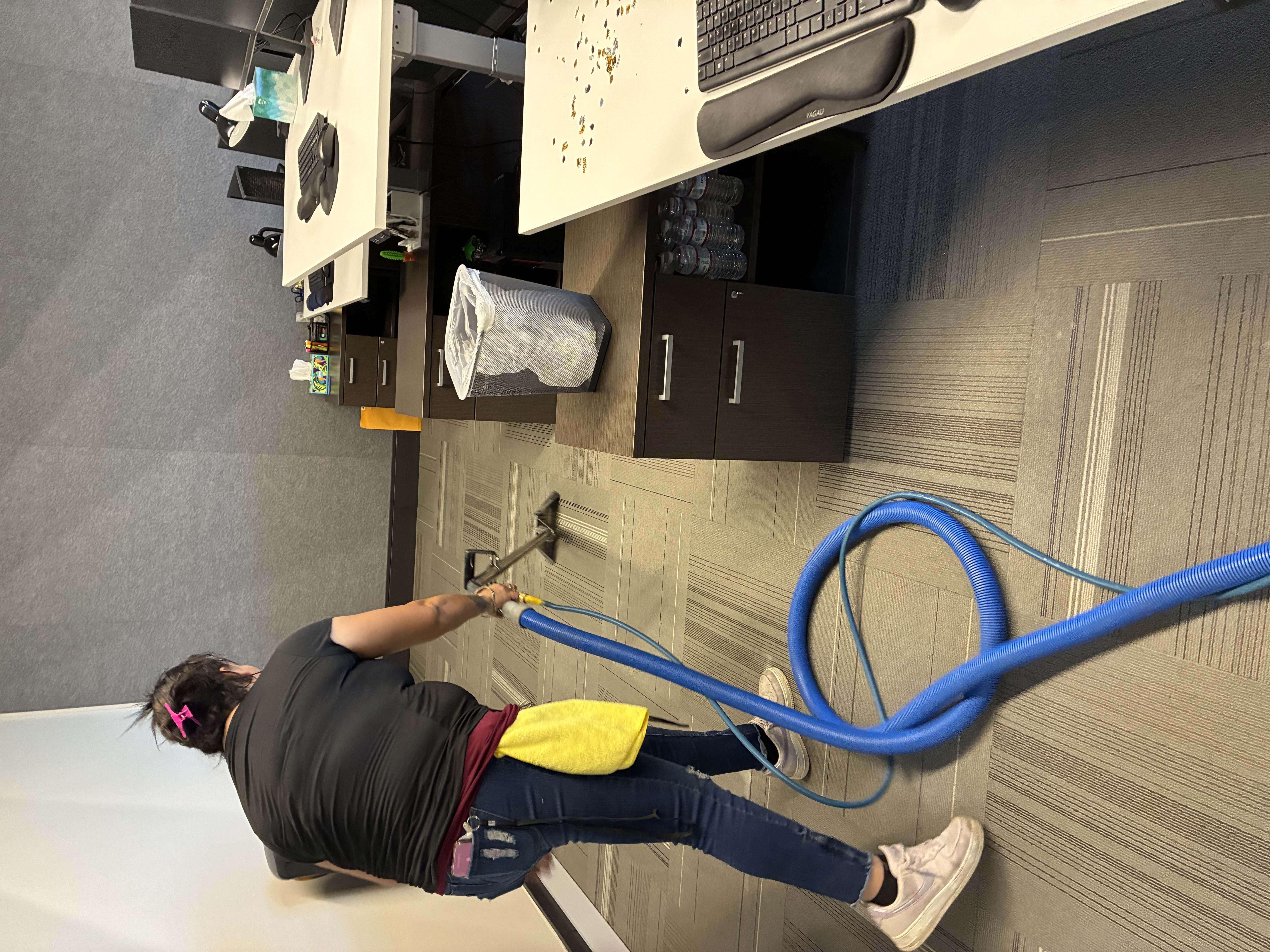 Carpet Cleaning