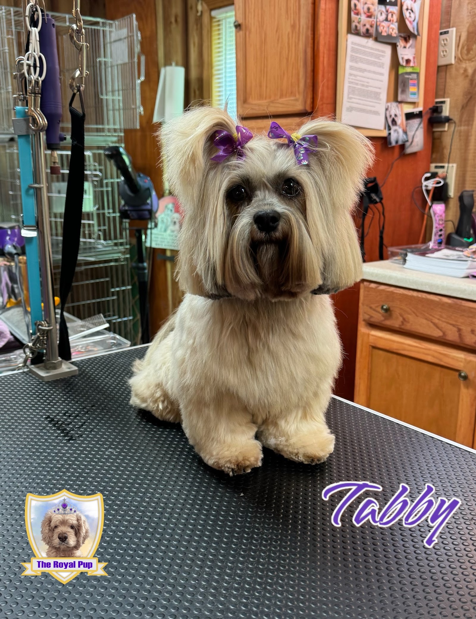 The royal pup grooming salon